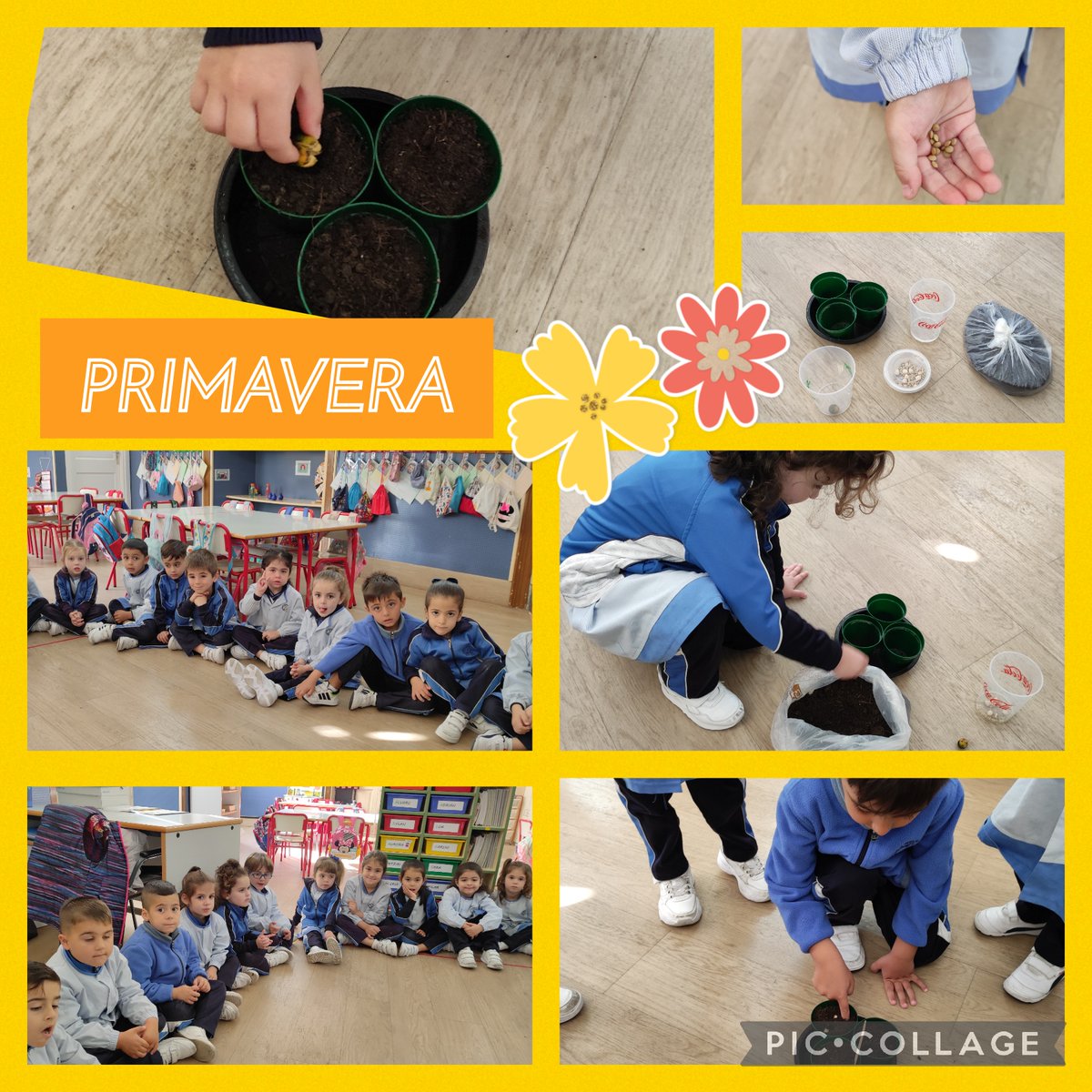 ColeMilagrosaOr's tweet photo. El alumnado de 4 años #educacióninfantil realizó un taller de plantar semillas. Es una experiencia que tiene numerosas ventajas como fomentar el amor por la naturaleza, adquirir responsabilidades, pasatiempo saludable, paciencia y esfuerzo.... #LaMilagrosaOrotava #Mevisur https://t.co/YZiJuj8Ido