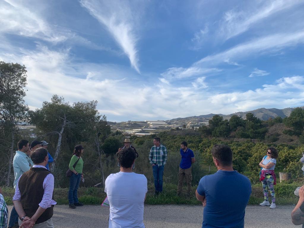 IfapaJunta's tweet photo. Proyecto de Formación Especializada en Cultivos Subtropicales del #IFAPA 

Los alumnos de "Manejo del riego en el cultivo del aguacate" visitan La Mayora, instituto de referencia en investigación científica en horticultura intensiva y fruticultura subtropical del @CSIC y @InfoUMA https://t.co/ny6xWvHUye