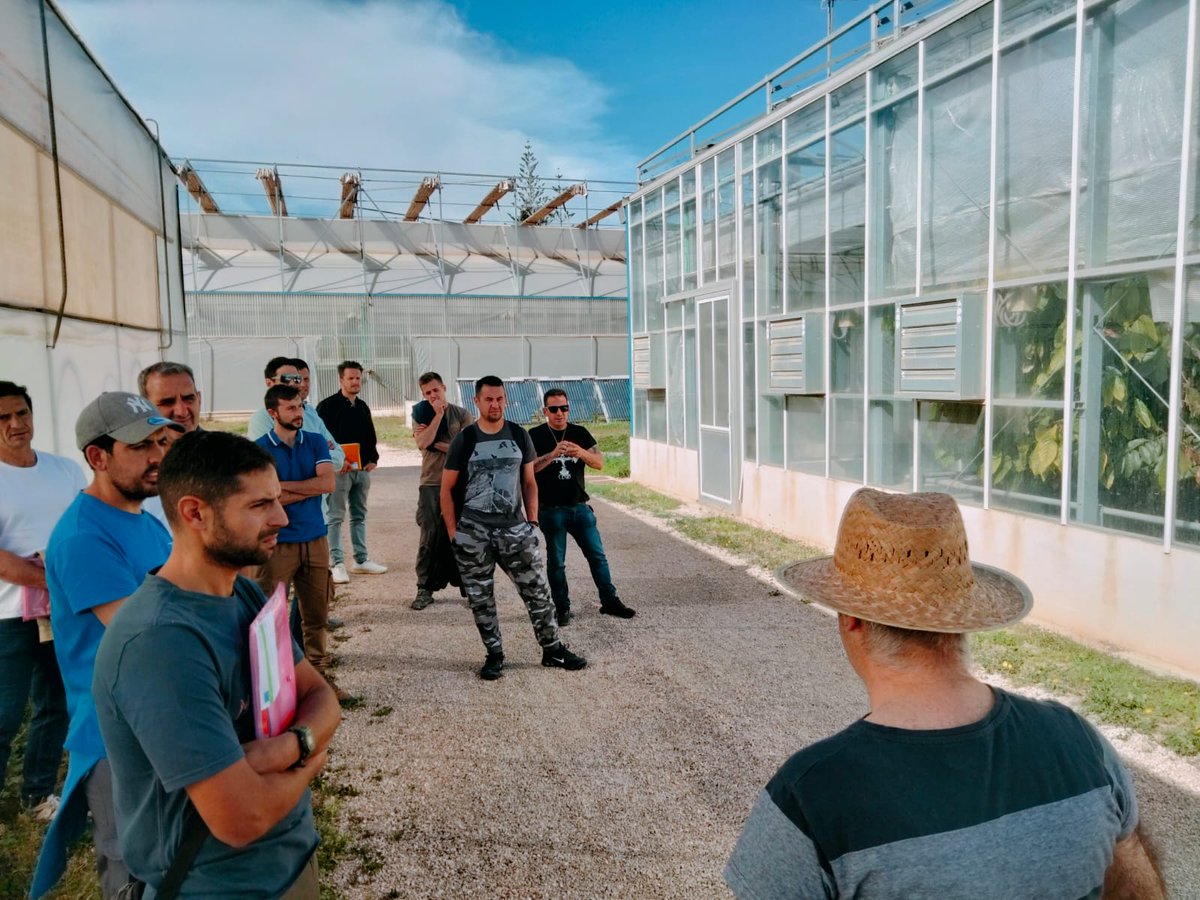 IfapaJunta's tweet photo. Proyecto de Formación Especializada en Cultivos Subtropicales del #IFAPA 

Los alumnos de "Manejo del riego en el cultivo del aguacate" visitan La Mayora, instituto de referencia en investigación científica en horticultura intensiva y fruticultura subtropical del @CSIC y @InfoUMA https://t.co/ny6xWvHUye