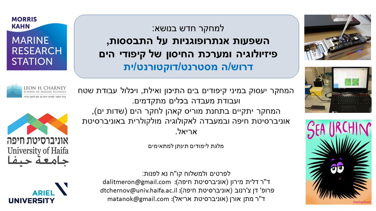 📌דרוש/ה מסטרנט/דוקטורנט/ית למחקר חדש! 
📧 לפרטים וקו"ח -ד"ר דלית מירון: alitmeron@gmail.com