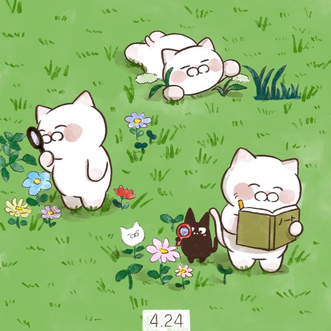 「寝そべり 白い猫」のTwitter画像/イラスト(新着)｜2ページ目