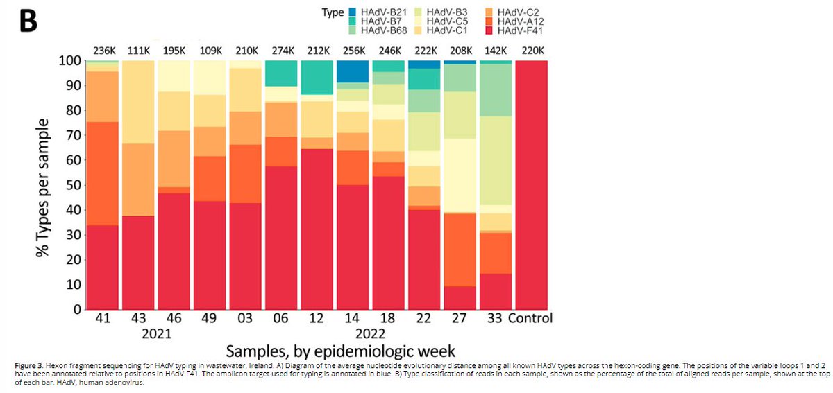 New publication - Adeno-Associated Virus 2 and Human Adenovirus F41 in Wastewater during Outbreak of Severe Acute Hepatitis in Children, Ireland. bit.ly/3llzTY6 
HPSC was delighted to collaborate with UCD, UCC, Irish Water, Hokkaido University &amp; CHI Crumlin.