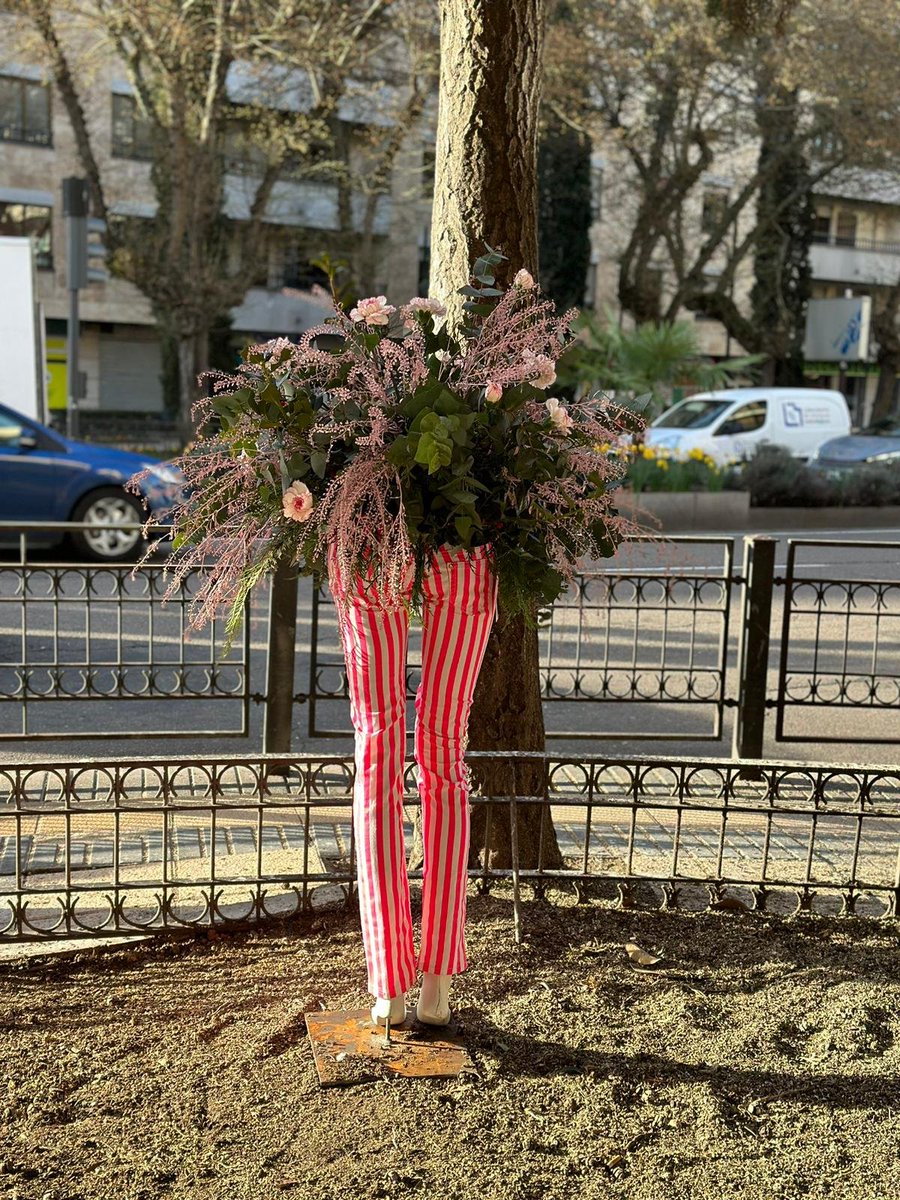 Bienvenida a la primavera*🍀 Paseen y vean, Calle Wences Moreno confluencia con Paseo Carmelitas. Barrio Oeste
#primavera2023
Gracias @floristeríabedunia
#barriodeloestesalamanca
#primaveraapiedecalle
#haciendobarrio
#queremosunbarrionaturalizado
#flores #plantas #naturaleza
 🌱