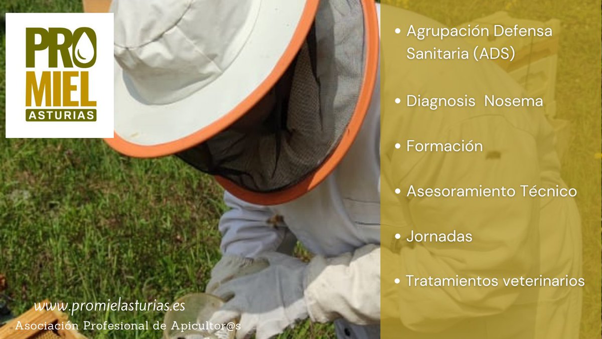 PromielA's tweet image. 