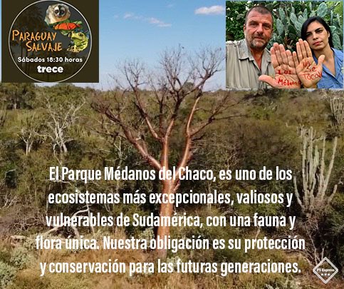 #LosMedanosNoSeTocan 
Por favor compartí 💚🌵