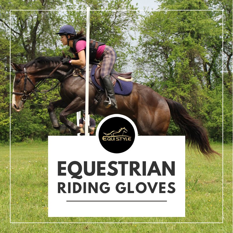 Equistl's tweet photo. Best Riding Gloves For Top horse Riders

https://t.co/uQdInYkDoa

#HorseRacing #horseriders #horseriding #horseridingGloves #bestgloves https://t.co/AjOzRWZ4Bi