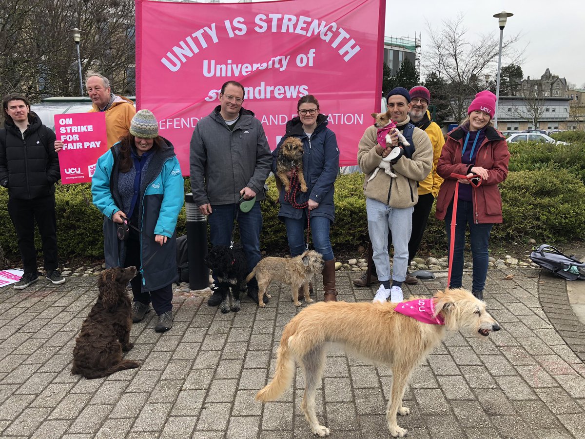 St Andrews’ North Haugh picket now has *six* dogs!  (We believe this is a North Haugh picket record, though of course we’re happy to hear from anyone who recalls more.)  Solidarity to all - human, canine, or other - striking today.  #DogsOnPicketLines  #ucuRISING  #UCUstrikes