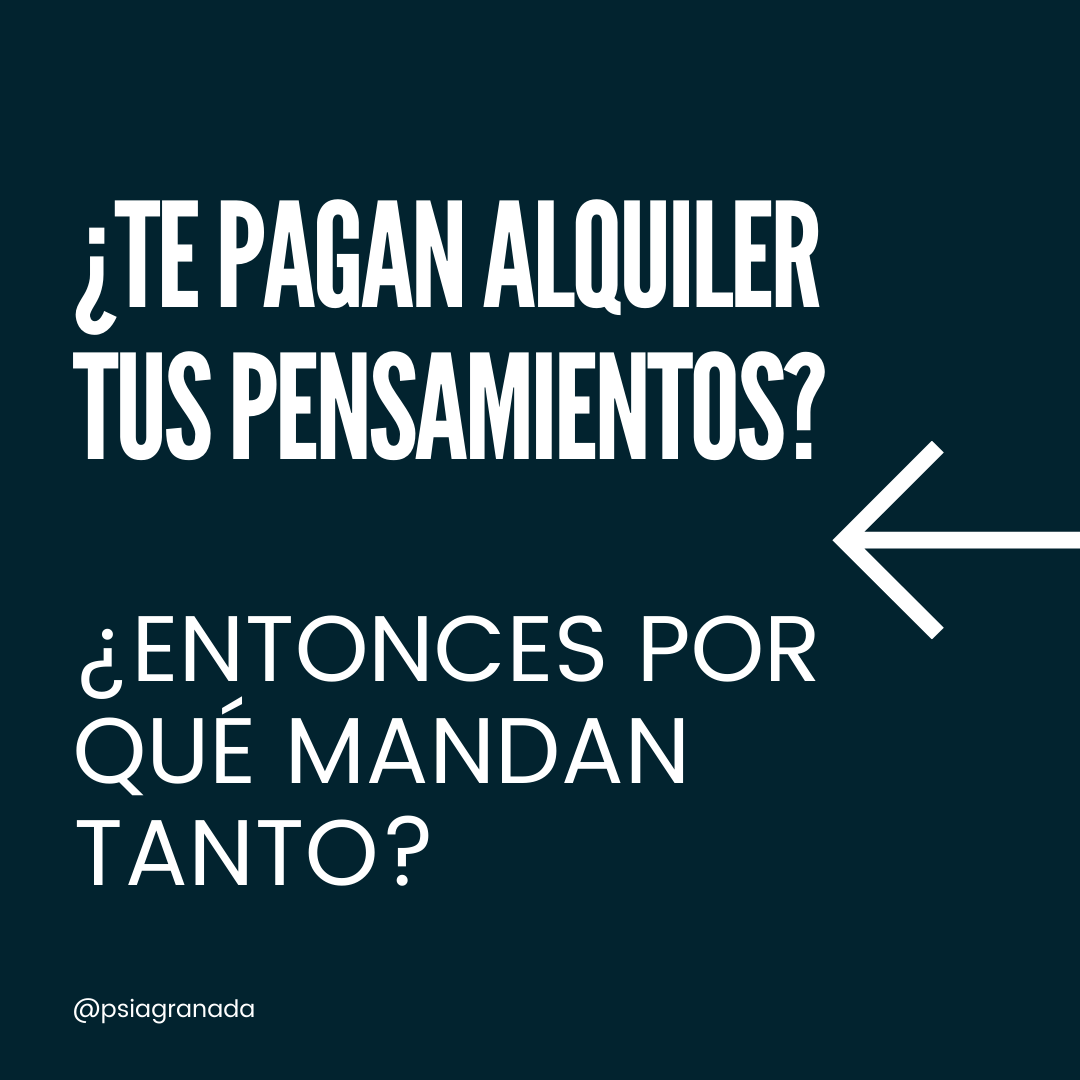 PsiaGranada's tweet photo. Ya, ya lo sé, que llevamos mucho sin publicar... pero es que he estado actuando, no pensando...

https://t.co/NDsIgDe8LB https://t.co/oRbRXuMPl5