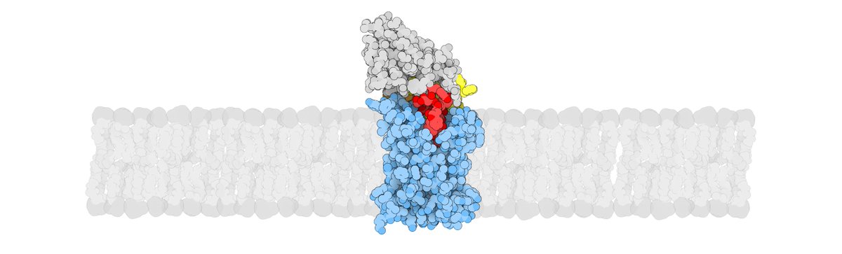seegerlab photo