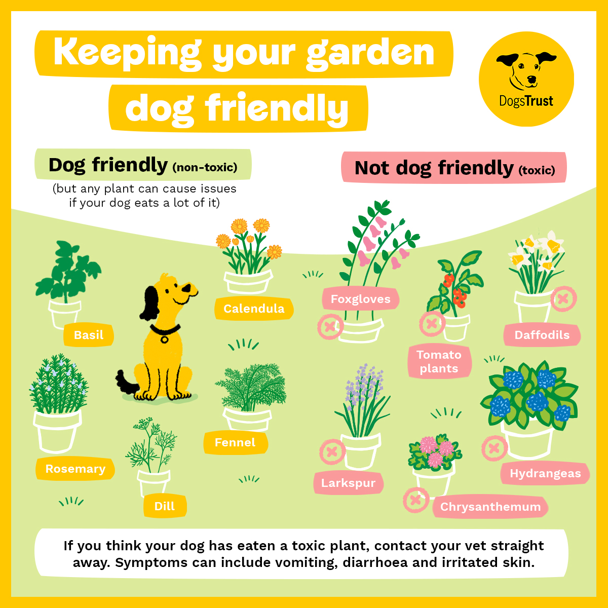 DogsTrust's tweet photo. Happy first day of Spring! 🌷🐇

If you have plans for your garden this season, look out for your paw-legged friends and keep your greenery dog-friendly. 🐶 💛

More garden safety tips 👉 https://t.co/EpG7tO5F2f https://t.co/DPNV7VAEmg