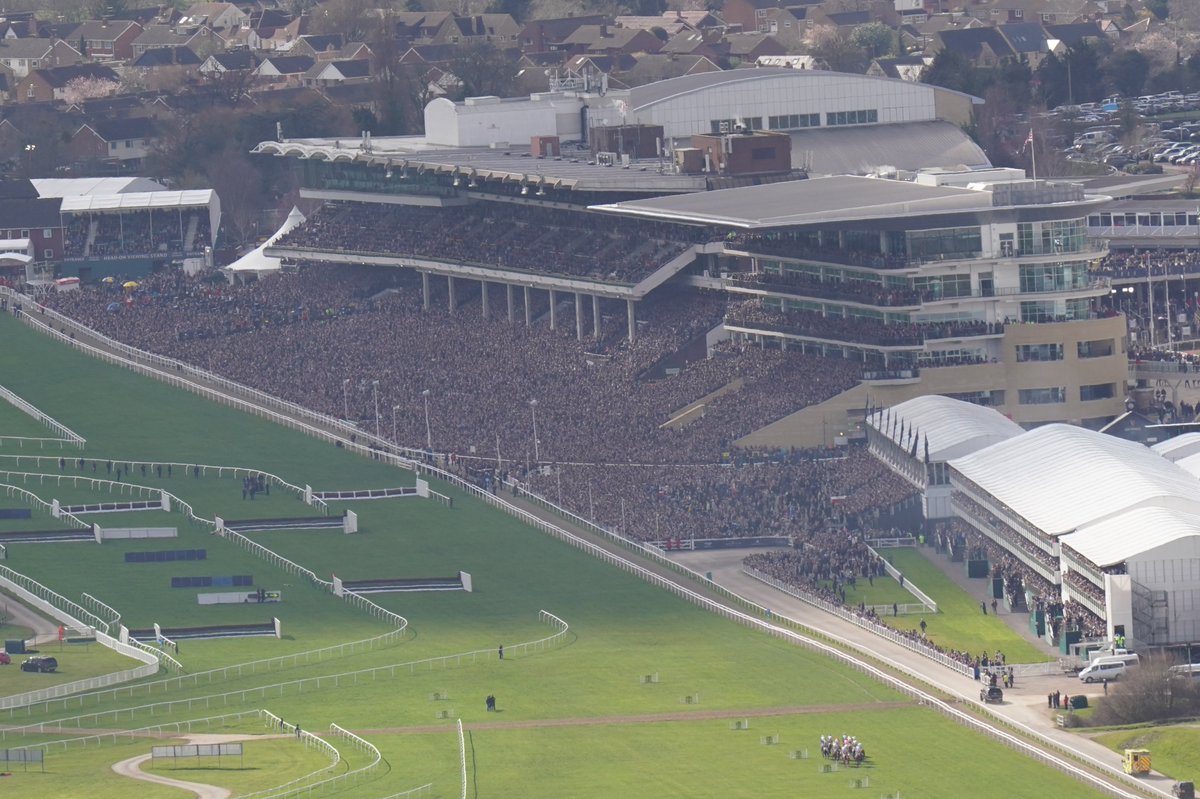 CheltenhamRacecourse tweet media