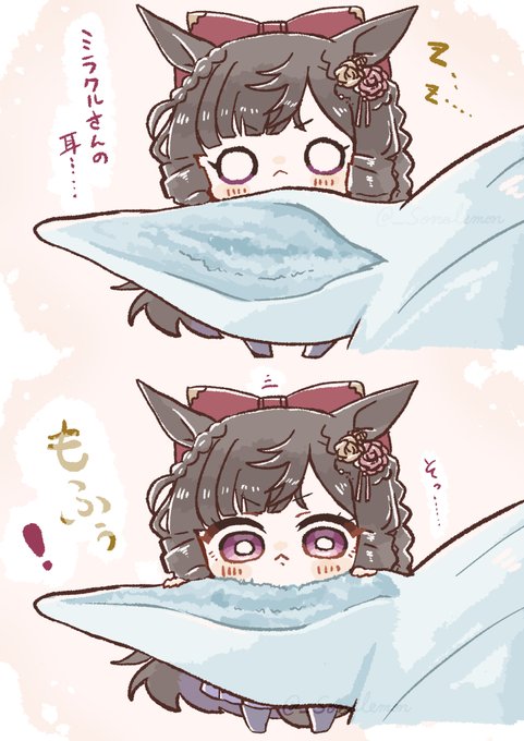 ミラクルさんの耳(プチルビ) 