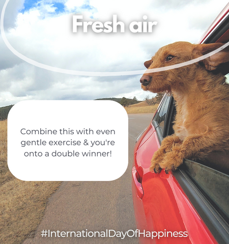 Comfizz's tweet photo. πβWhat things make YOU happy? (Post 1/2)
π€©βHappy #InternationalDayOfHappiness!
πβ Don't forget to retweet this post!
#Stoma #Ostomy #Ileostomy #Colostomy #Urostomy #Comfizz #OstomyLife https://t.co/UAKFzj5qvp