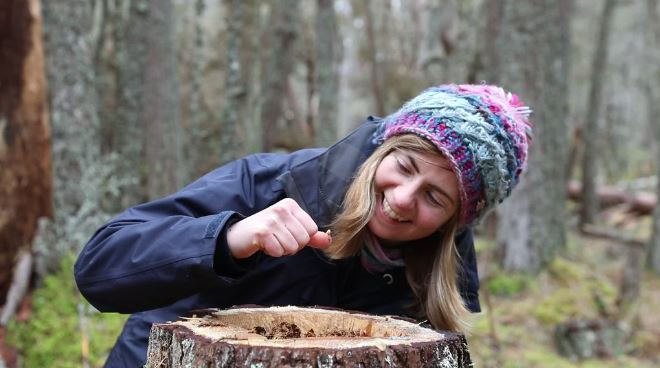 Wanna get the inside scoop on how we’re helping save one of Britain’s most endangered invertebrates?

Join our own Dr Helen Taylor this Thursday at 1pm for a FREE entoLive webinar on our pine hoverfly conservation breeding programme  🪰

Book your spot 👉 bit.ly/PineHoverflyWe…