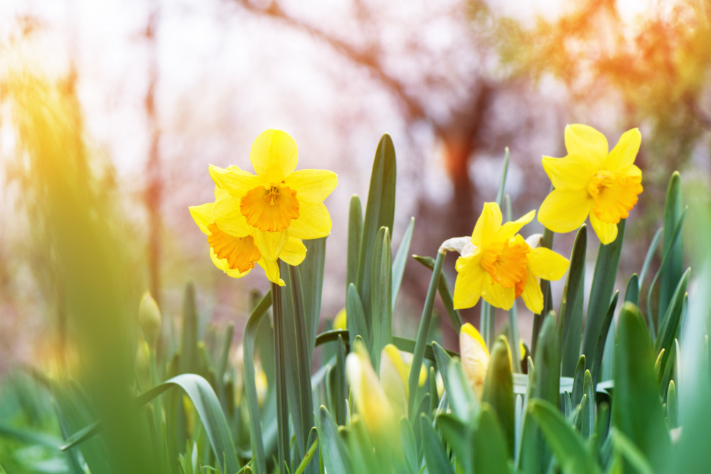 It's the first day of Spring 🙌🌼

Sunny days filled with adventure are ahead ☀️