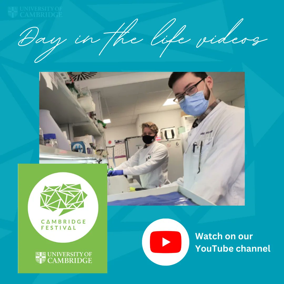 Can't join us in-person for @Cambridge_Fest this weekend?
Don't worry! We have online and on-demand activities too!

Follow along with some of our staff and students to see what it is like to work in toxicology
buff.ly/3mKbRWV 

#CambridgeFestival #DayintheLife