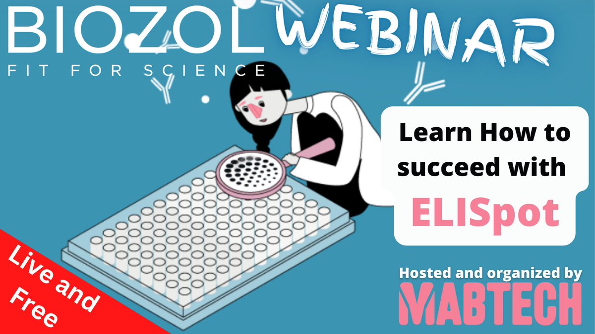 BIOZOL_GmbH's tweet photo. 👩‍🔬👨‍🔬To all Elispot enhusiasts! 
Our partner company @Mabtech from Sweden 🇸🇪 will give a live webinar to share their expertise on how to successfully perform ELISpots.

Click here for registration:
https://t.co/pqWDnx3mcD

#elispot #cytokines #antibodies #immunology https://t.co/SDDApS8doi