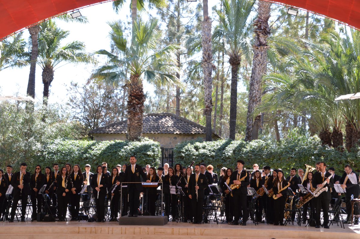 La Aurora de Albatera tweet media