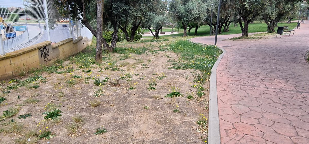 pedromajolero73's tweet photo. Los #argandeños llevamos más de 1.370 días soportando la dejadez de nuestros parques y jardines.
Es indecente que a falta de 90 días se pongan a trabajar porque se acercan las elecciones.
👉Si les vuelves a votar, ya sabes lo que harán
#CuidaLoTuyo #CuidaArganda https://t.co/KoItjXz9nC