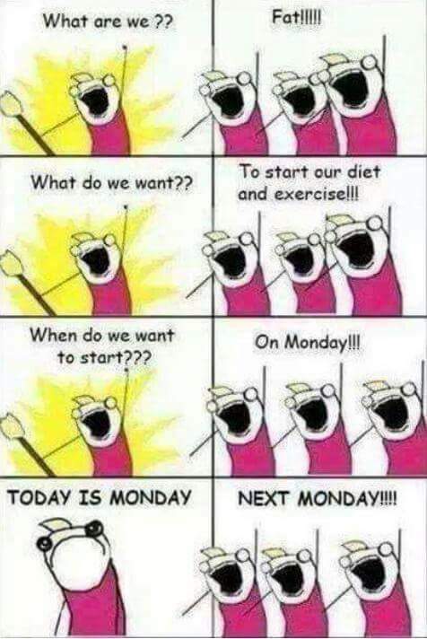 TheOrangeFamily's tweet photo. #MondayMotivation #NextMonday. https://t.co/w50em69l39