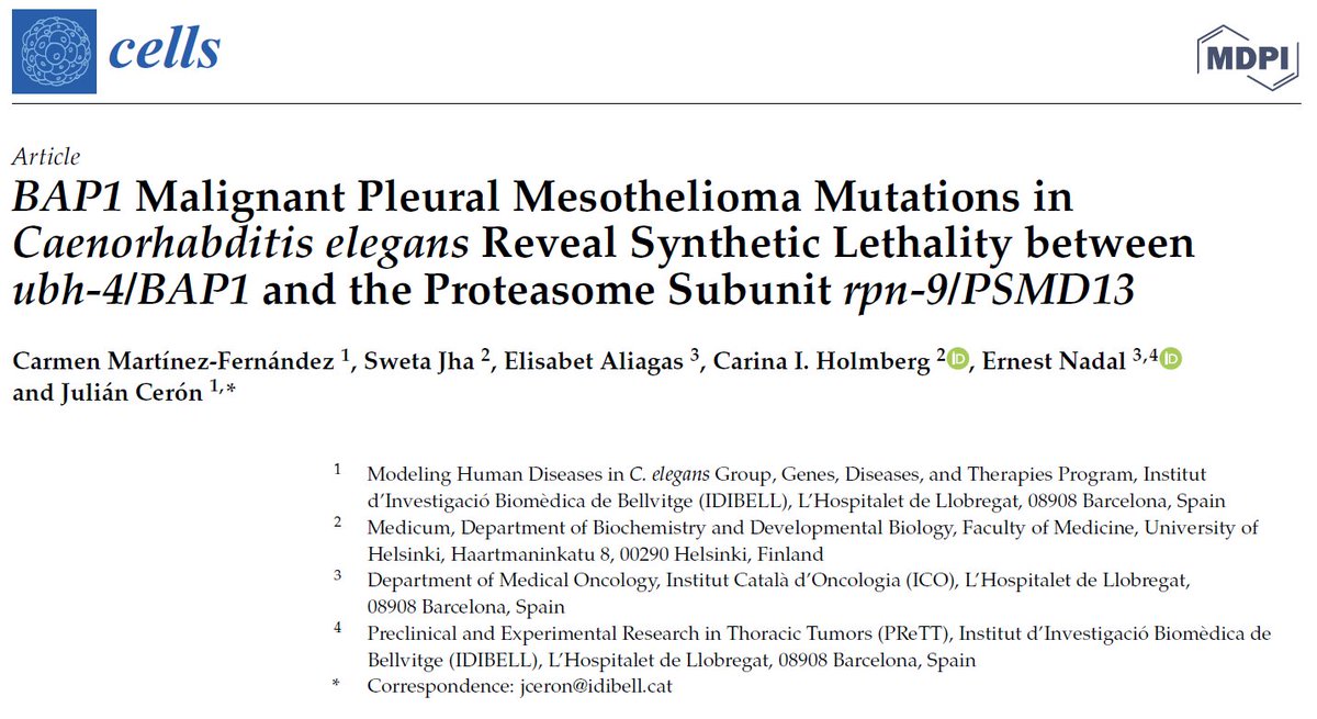 CarmenMarFdz's tweet image. I am glad to share a piece of my doctoral thesis in @Cells_MDPI Special Issue “Research Advances in Invertebrate Experimental Models of Malignant Growth”. We used CRISPR-Cas and #celegans to explore vulnerabilities associated with BAP1 cancer-related mutations.