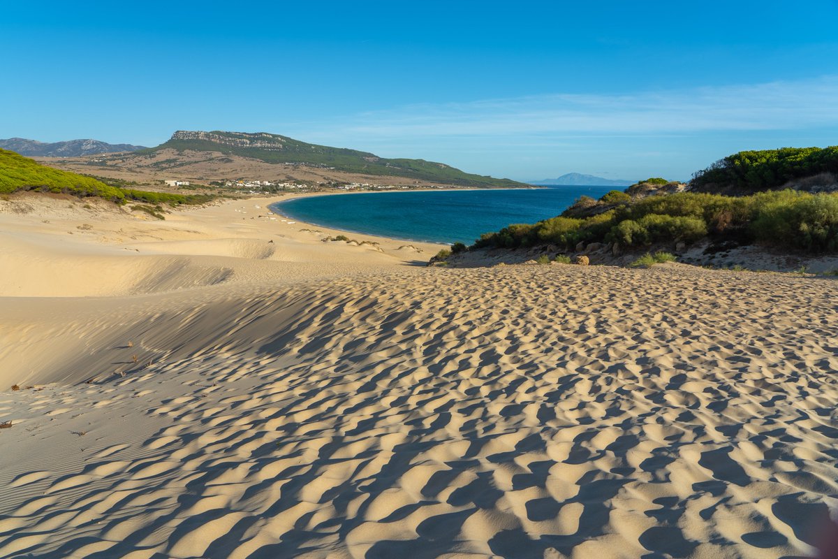 EcoherenciaSCA's tweet photo. 🐚Cursos #online de #EcosistemasForestales y #MedioLitoral 

🎓Cursos de 25 horas.

📅Del 20 de abril al 21 de mayo de 2023.

Inscripciones hasta el 9 de abril en:

✒️Curso Medio Litoral:  https://t.co/uL7uJO6ik6 

✒️Curso Ecosistemas Forestales:  https://t.co/RsfeYLPAGh https://t.co/0iw23t8vWl