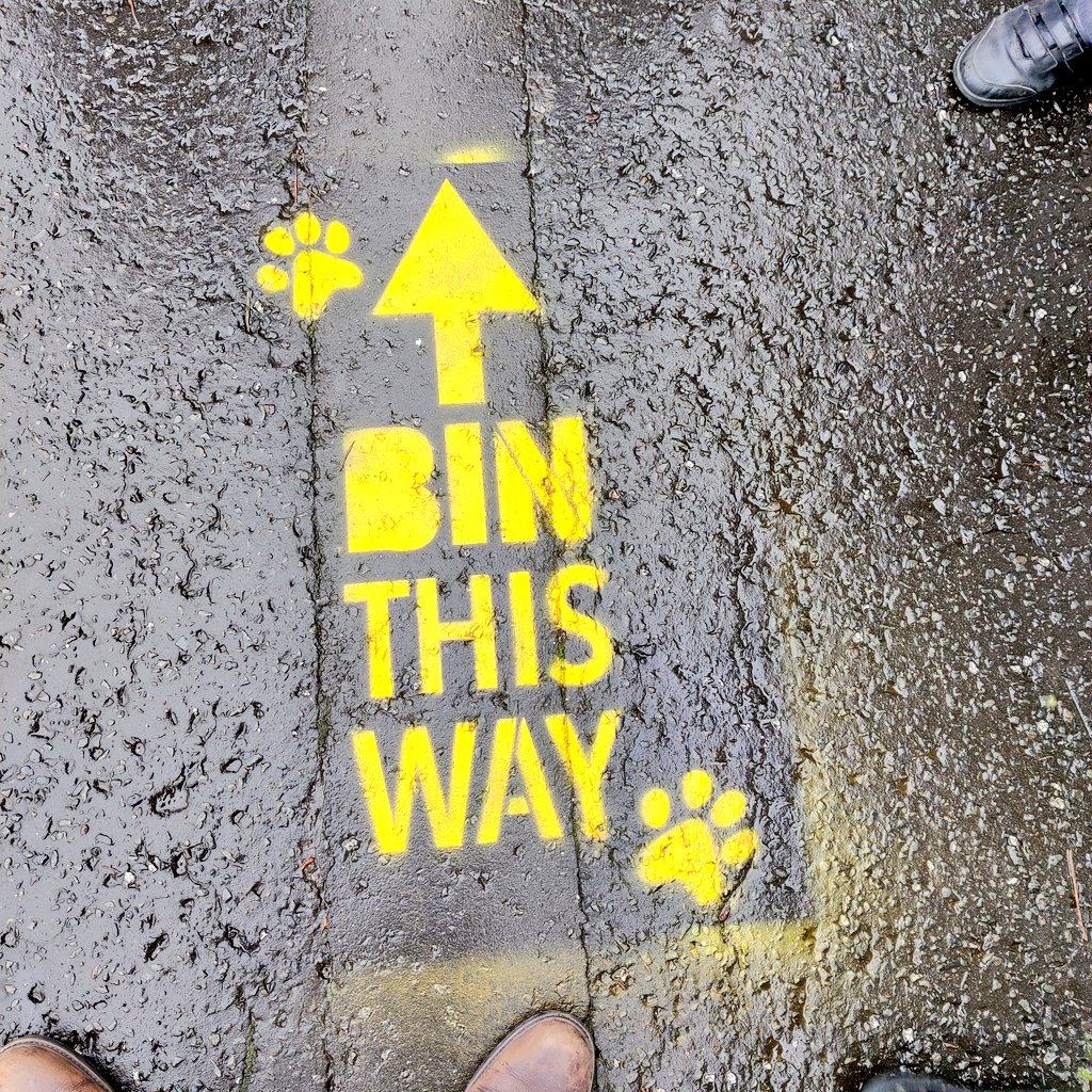 Love these! @belfastcc Please keep our Daily Mile poo free! 💩💩 #TeamBraniel #bagitbinit