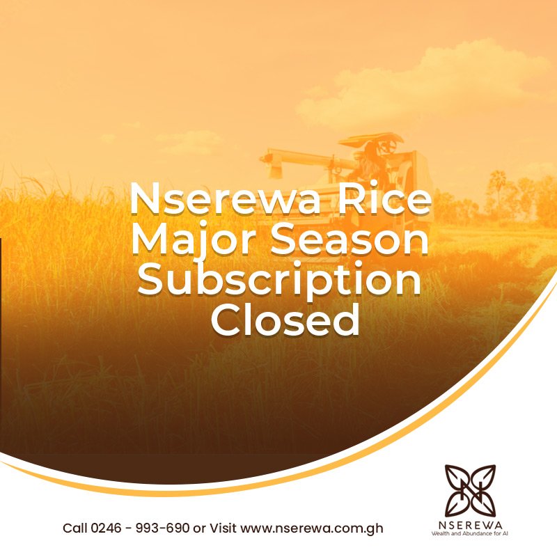 nserewagh's tweet photo. Hello Prospective Sponsors,

The Nserewa Rice Major season subscription is closed. Thank you for your interest in the project. 

We shall announce future projects in due time. https://t.co/M4FCPZd0mP
