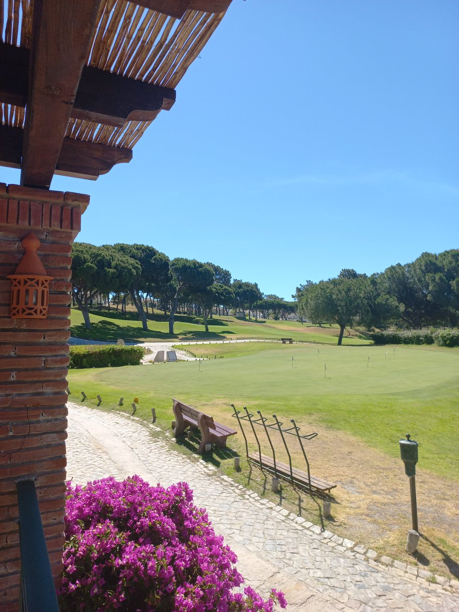 Pinheiros Altos Golf tweet media