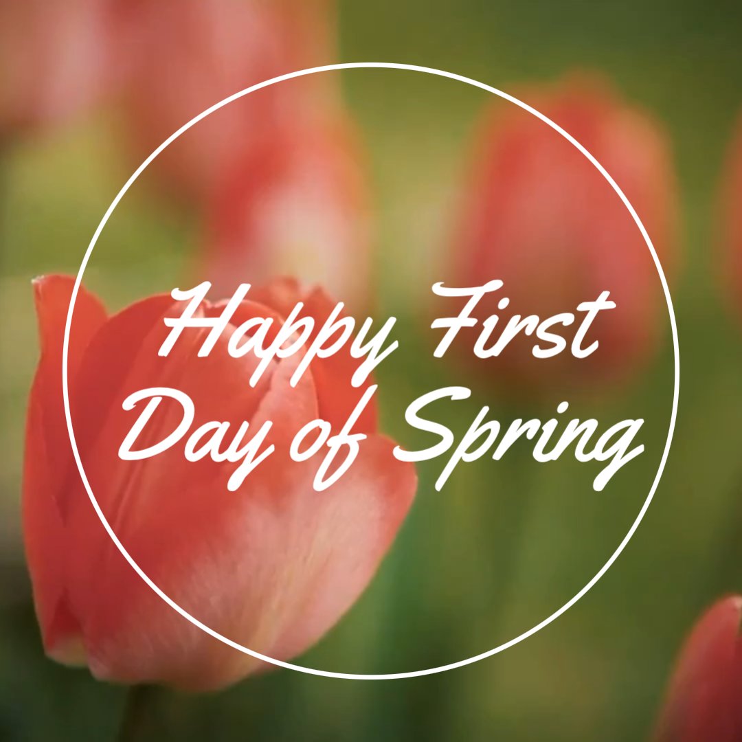 clarkflower's tweet photo. Happy First Day of Spring!  Have a great day! https://t.co/NEVkbjlnjd