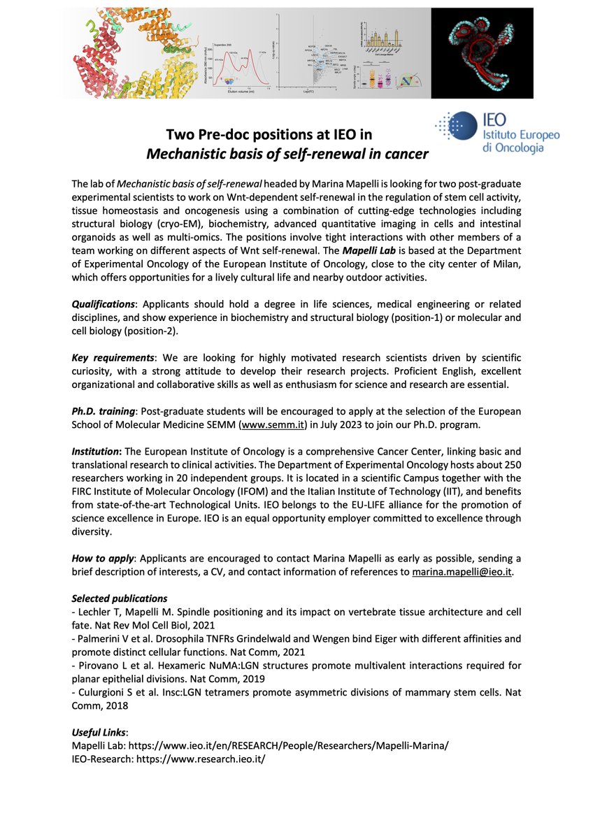 We are hiring!! 📢 2 Pre-doc positions available in the lab to bridge toward Ph.D. fellowships by Oct. 2023. 
All at the intersection of mechanistics of self-renewal, stem cells and cancer. Links to apply below