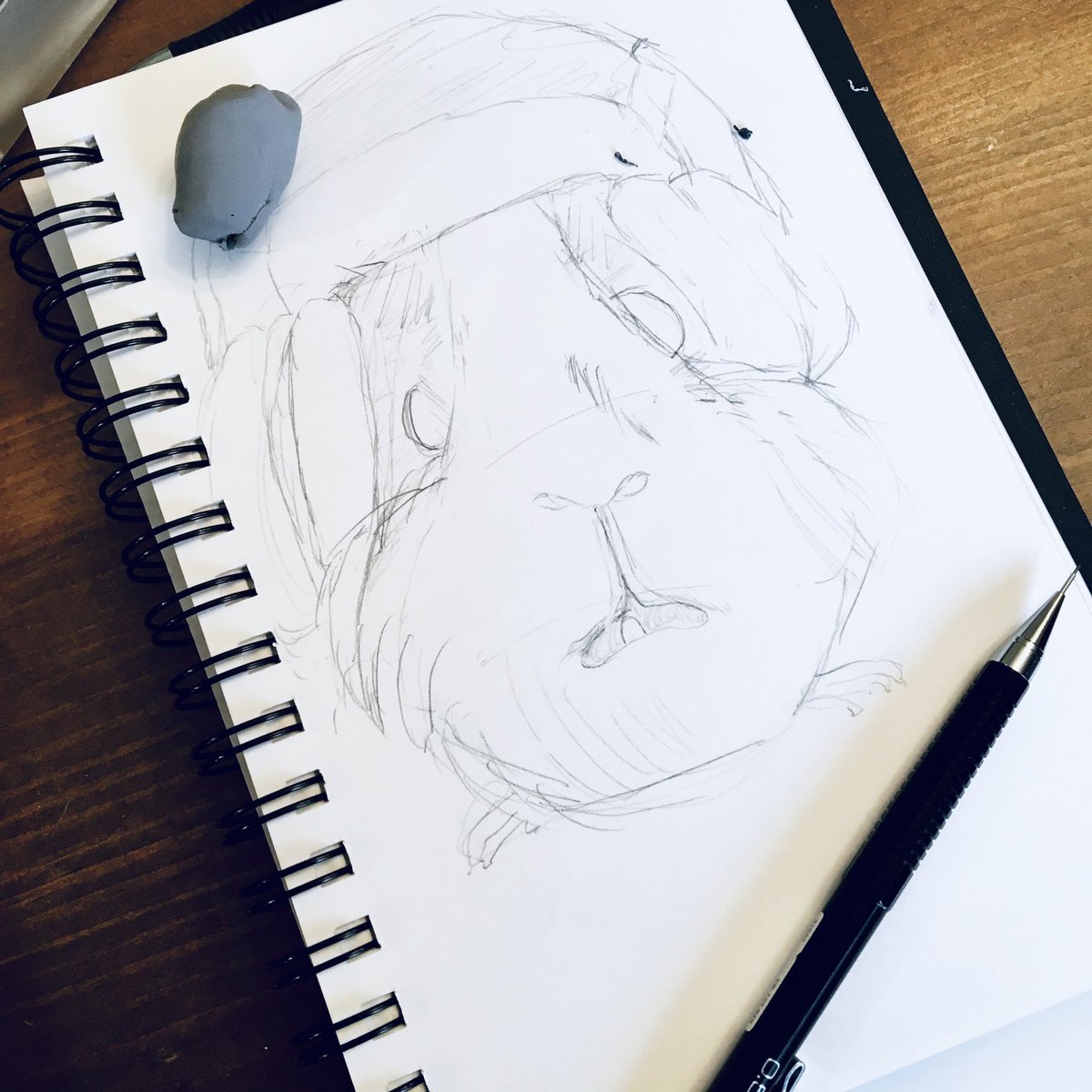 JHtheRabbit's tweet image. Drawing guinea pigs with headphones🎶🎧 Who says you can't jam out while munching on veggies? 🤷‍♀️🥕 the power of a groove-loving guinea pig! 🐹💃 #Pencilart #PiggyPlaylist #piggylove