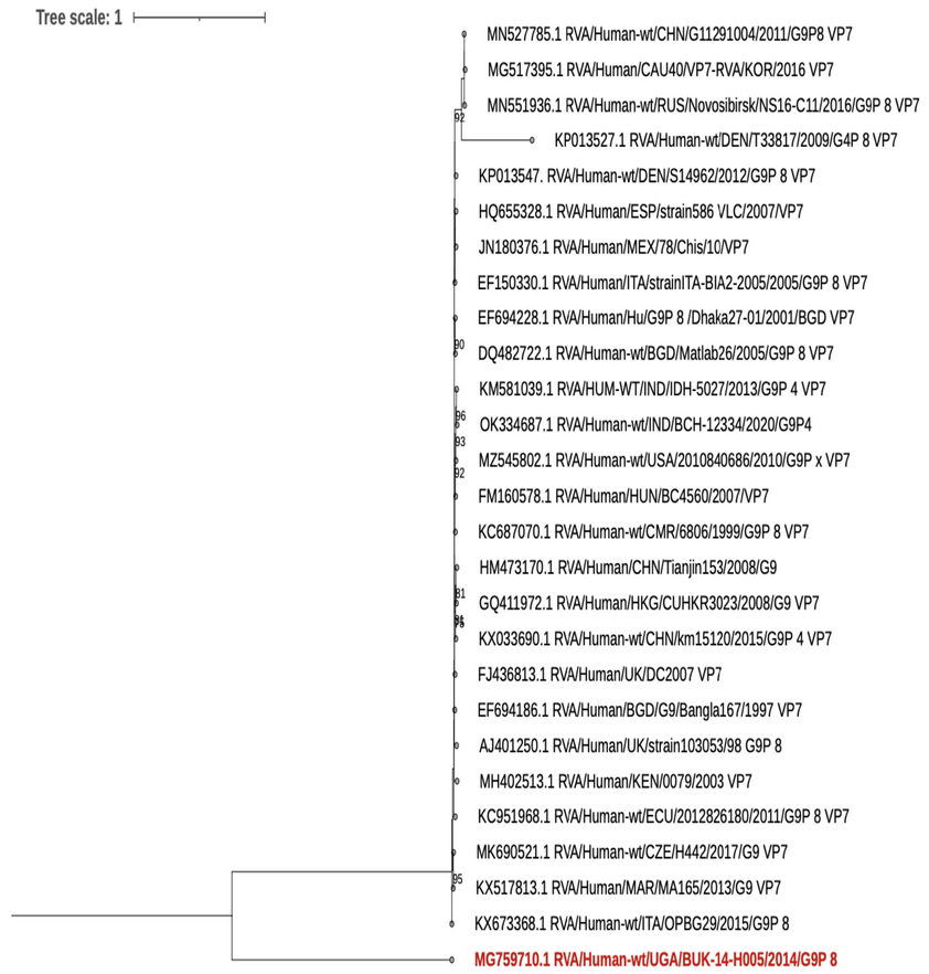VirusesMDPI's tweet photo. ❓Are animals aged 2 to 18 months less likely to have #rotavirus infection in comparison with animals below 2 months of age❓

Bwogi et al. discuss this in their new paper: https://t.co/35ElQB1cds https://t.co/IBxgEY56tC