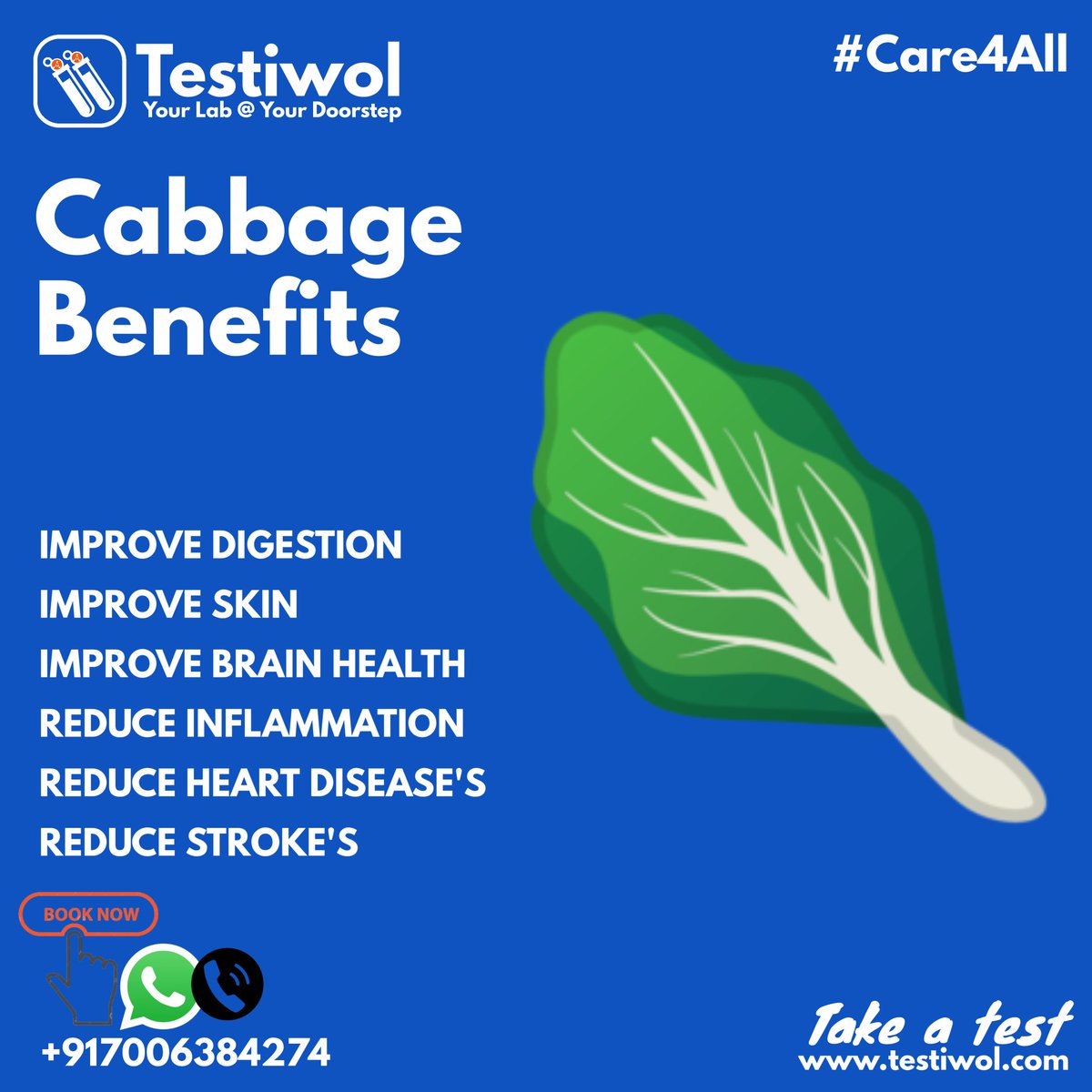testiwol's tweet photo. One cup of shredded raw cabbage contains 190% of the recommended daily amount of vitamin C.
#cabbage #vegetarian #testiwol #health #benefit #healthylifestyle #Yourlabatyourdoorstep #Kashmir #madekashmir #StartUpsIndia #sharktankindia #Bestlabinanantnag #sofidiagnostics @testiwol https://t.co/L2zET7idqN