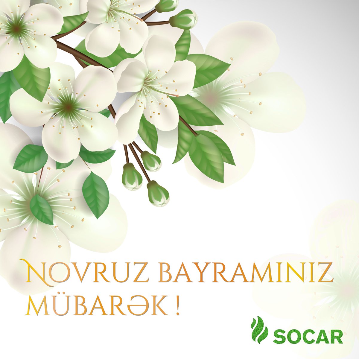 Sizi #Novruz bayramı münasibətilə ürəkdən təbrik edirəm.
