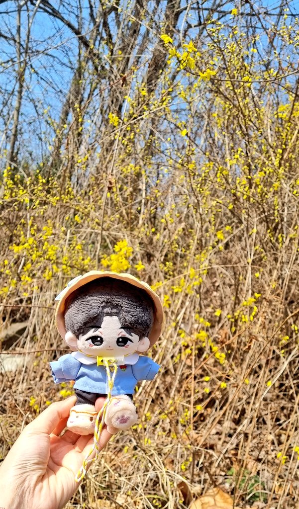 somskar_ready's tweet photo. 동생 만나러 가요 https://t.co/L5IRGGFpkV