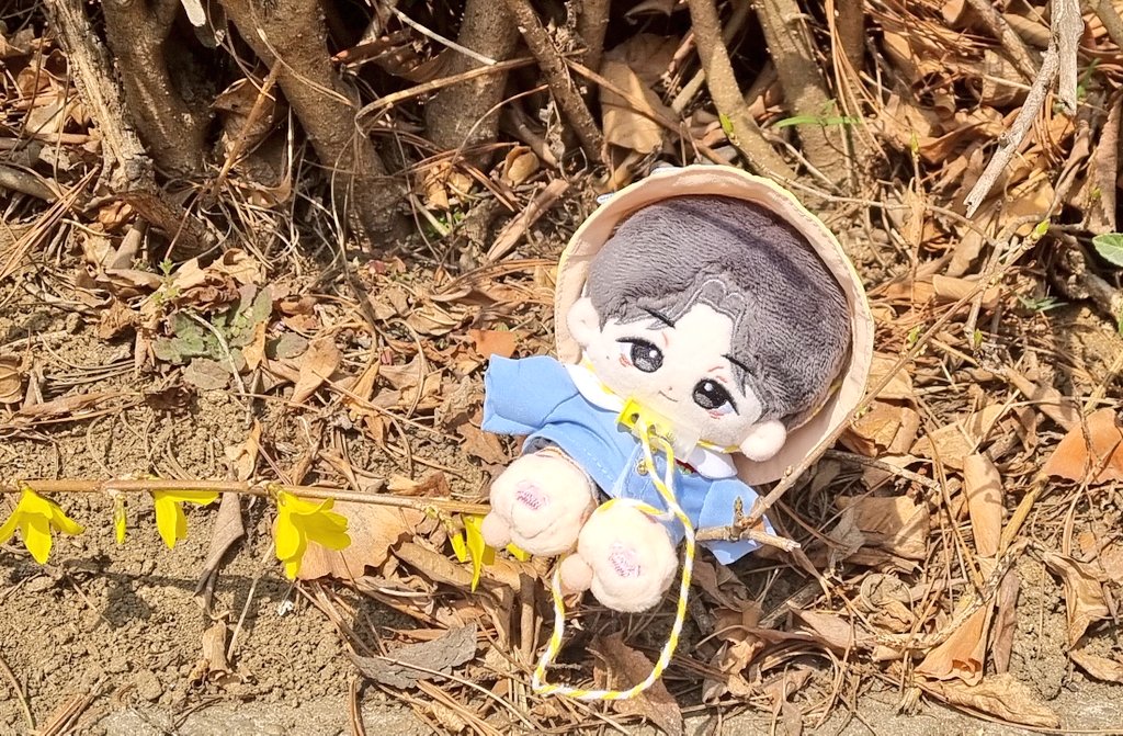 somskar_ready's tweet photo. 동생 만나러 가요 https://t.co/L5IRGGFpkV