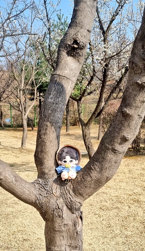 somskar_ready's tweet photo. 동생 만나러 가요 https://t.co/L5IRGGFpkV