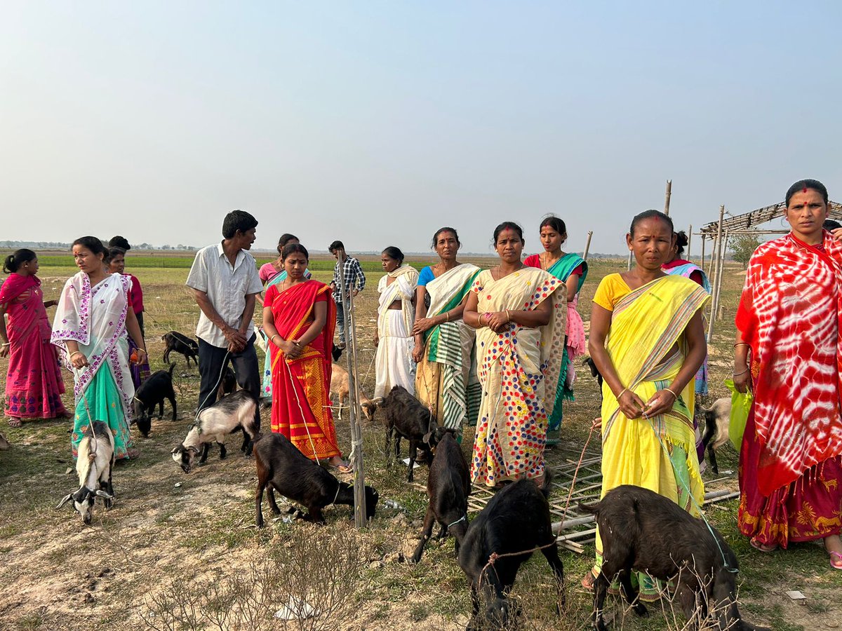 humanaidint's tweet photo. Exciting news! Our collaboration with #NEADS and the #VitolFoundation has distributed she-goats to women beneficiaries for their livelihood. Thanks to Dr Utpal Talukdar for conducting vaccination and health check-ups during the distribution in Kampur-Nagaon.
#livelihood https://t.co/TgDYOELTEt