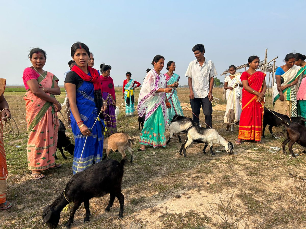 humanaidint's tweet photo. Exciting news! Our collaboration with #NEADS and the #VitolFoundation has distributed she-goats to women beneficiaries for their livelihood. Thanks to Dr Utpal Talukdar for conducting vaccination and health check-ups during the distribution in Kampur-Nagaon.
#livelihood https://t.co/TgDYOELTEt