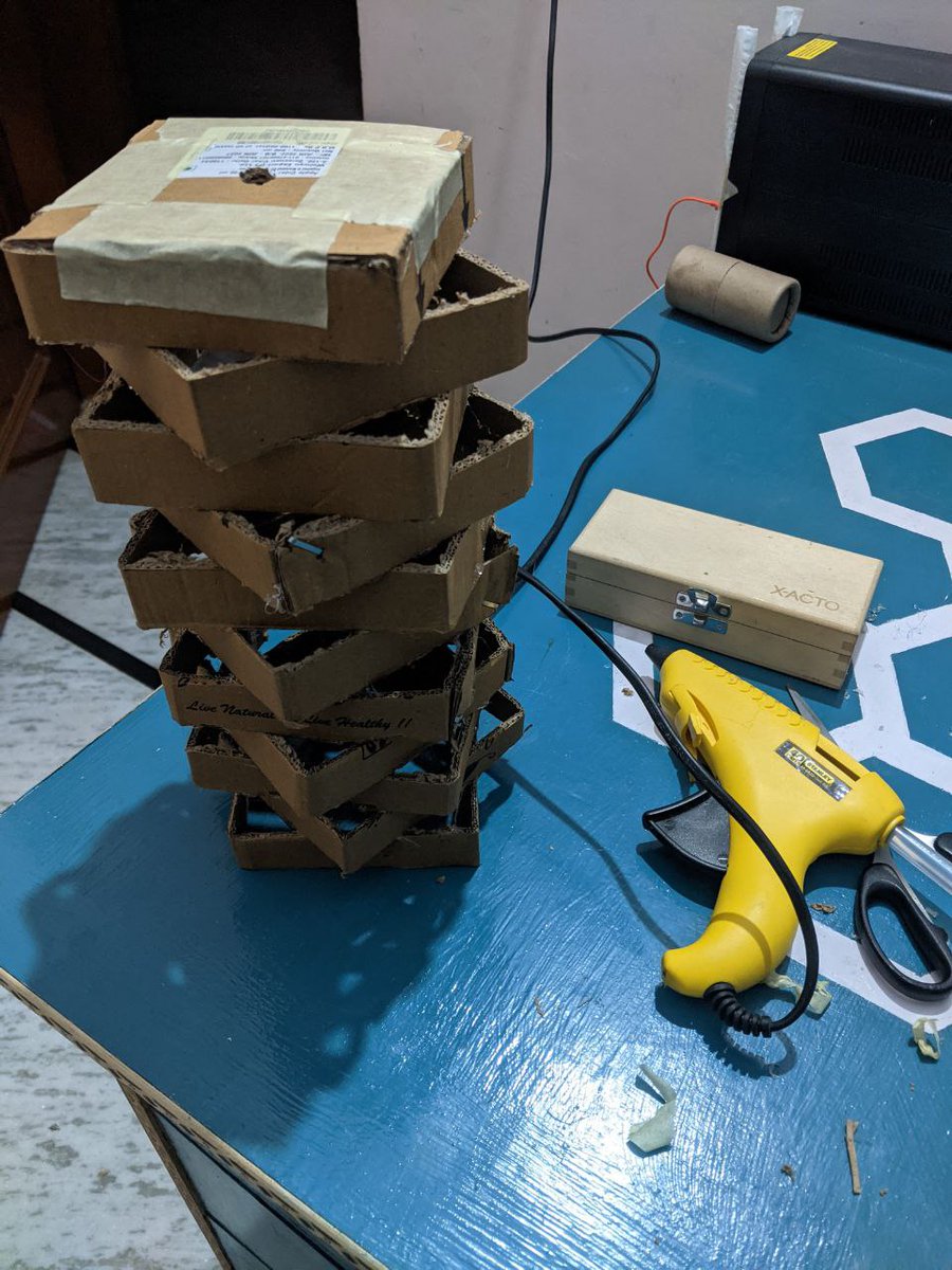 nodubby's tweet image. me and my cats&apos; shared obsession with @amazonIN boxes #PledgeToReuse