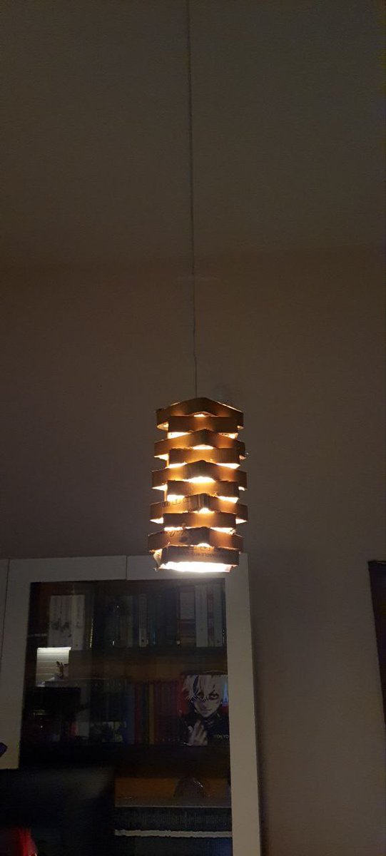 nodubby's tweet image. me and my cats&apos; shared obsession with @amazonIN boxes #PledgeToReuse