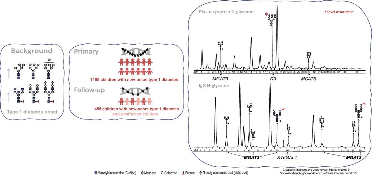 Diabetologia (@diabetologiajnl) on Twitter photo Allelic variants of N glycosylation and complement genes contribute to altered plasma protein and IgG N glycosylation in children at the onset of #T1D compared with their healthy siblings <a href="/NajdaRudman/">Najda Rudman, PhD</a> <a href="/GornikLab/">Olga Gornik's lab</a> <a href="/SveucilisteZG/">Sveučilište u Zagrebu</a> <a href="/hrzz_science/">Croatian Science Foundation</a> bit.ly/3n6uQLL 🔓 Allelic variants of N glycosylation and complement genes contribute to altered plasma protein and IgG N glycosylation in children at the onset of #T1D compared with their healthy siblings <a href="/NajdaRudman/">Najda Rudman, PhD</a> <a href="/GornikLab/">Olga Gornik's lab</a> <a href="/SveucilisteZG/">Sveučilište u Zagrebu</a> <a href="/hrzz_science/">Croatian Science Foundation</a> bit.ly/3n6uQLL 🔓