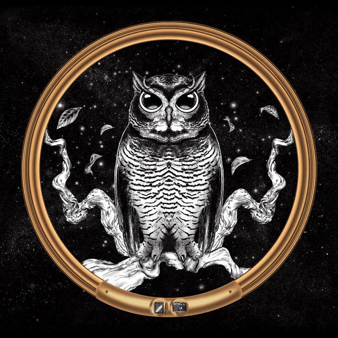 Munib Jan 🦉| “4 Seasons” Editions Live 10/10 tweet media