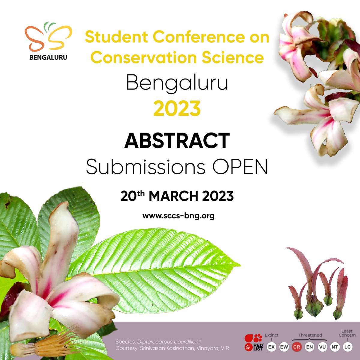 sccsbng's tweet photo. SCCS-Bengaluru is now open for your abstract submissions! 

We are excited to read all about the fantastic projects you have been working on – from the natural and social sciences, to interdisciplinary fields and conservation sciences. 

+ https://t.co/aKAh1RDxyl