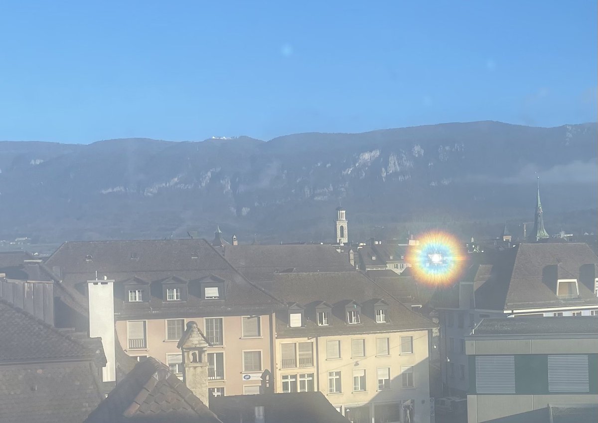sabostern's tweet photo. Heute hat mich mein Nachbar so richtig geblendet… #Sonneneinstrahlung https://t.co/SS4j1I0GbS