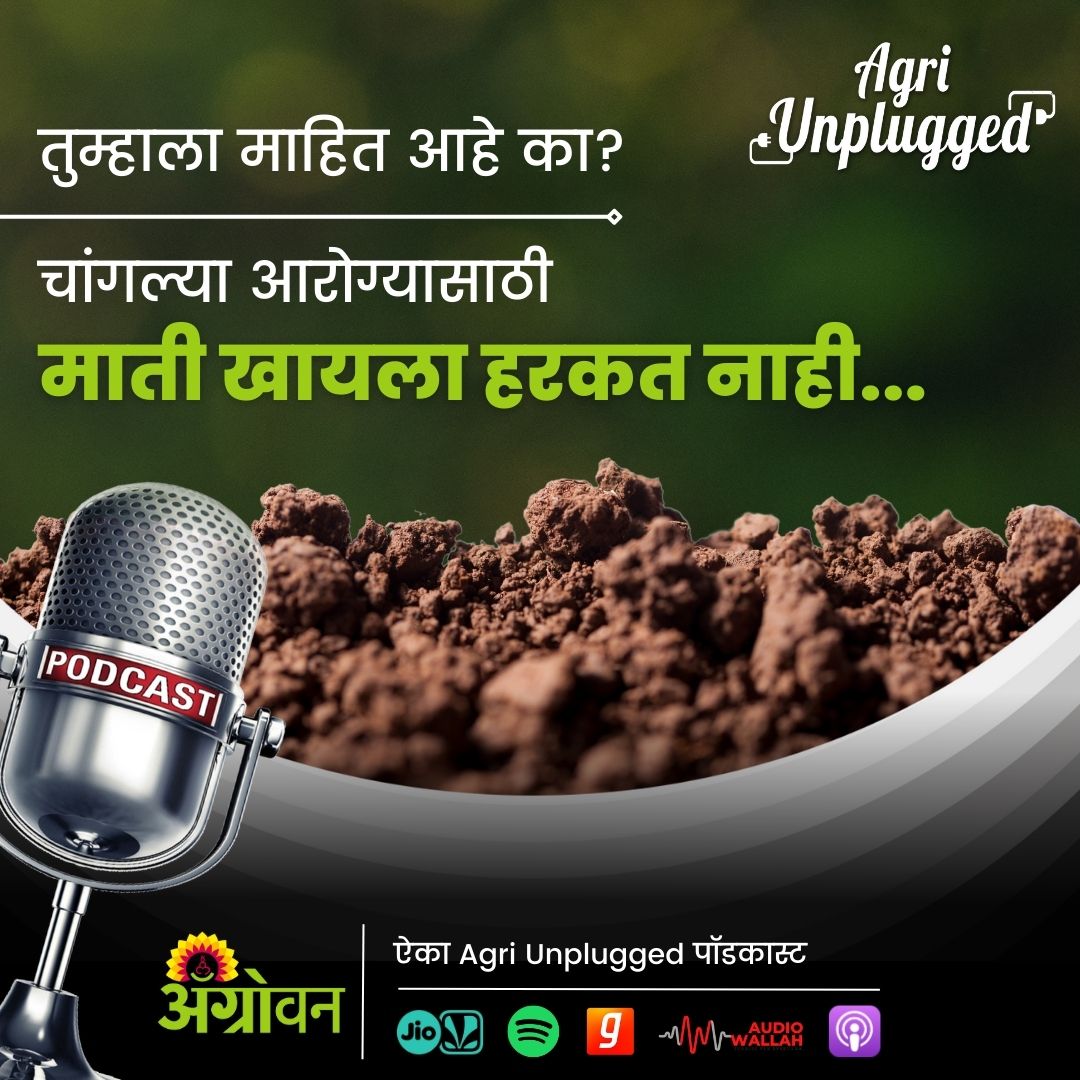 AGROWON's tweet photo. माणसांनीही खनिजांचा स्रोत म्हणून माती खाण्यास हरकत नाही. खाण्याआगोदर या मातीचे निर्जंतुकीकरण केलेले असावे. https://t.co/vbl0qxUDhb
#Farmer #Agroguide #Agriunplugged #Podcast https://t.co/CSUPP4HBJA