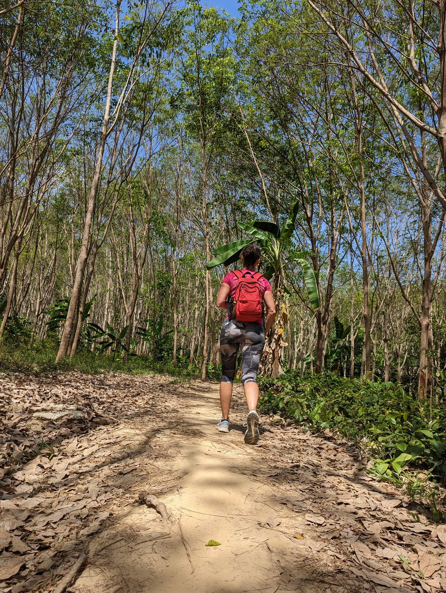ZinvolReizen's tweet photo. Heerlijke wandeling.
Ik lette eerst niet op en liep een ander wat steiler pad op...na wat geklauter en goed kijken op https://t.co/h3DRwjBIrg bleek ik echt ernaast te zitten.
Oorspronkelijke wandeling was iets makkelijker. Gelukkig!
#viewpoint #kohmook #thailand https://t.co/6xNbwVnnVm
