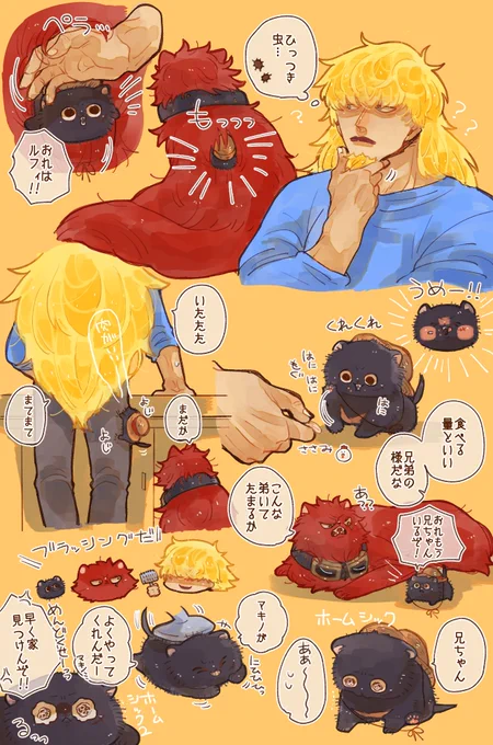 きらさん家お泊り毛玉🐱👒 