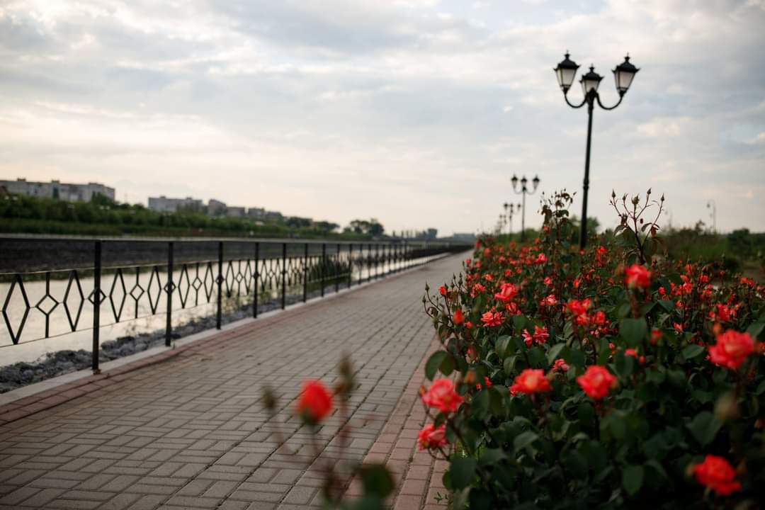 OlenaHalushka's tweet image. Before russians came to destroy it, #Bakhmut used to be the town of roses